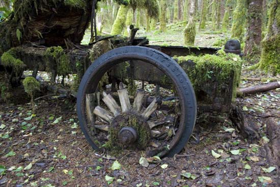Broken old wheel